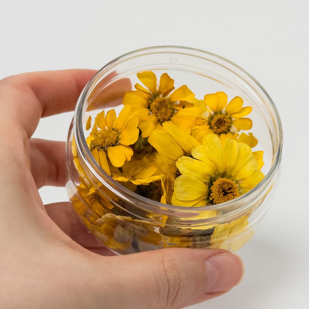 Dried Flowers – Yellow Daisies