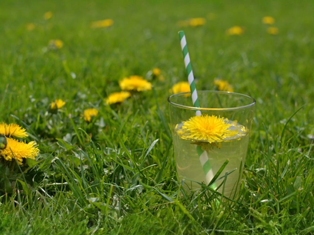 No-Cook Dandelion Syrup