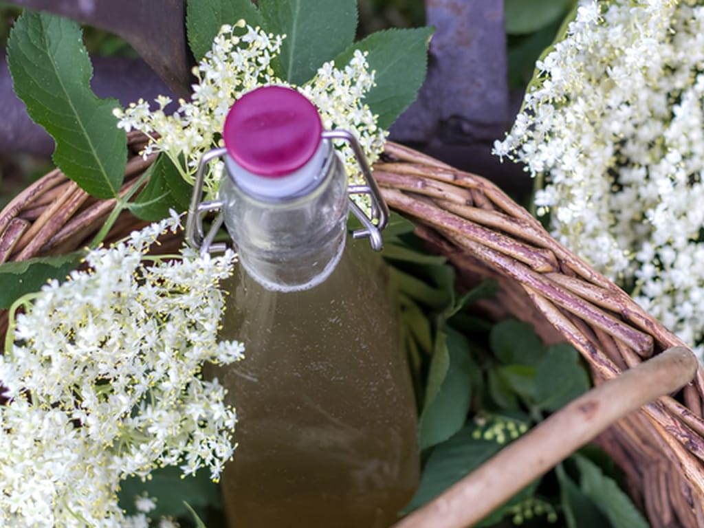 Bezináda alias bezový sirup