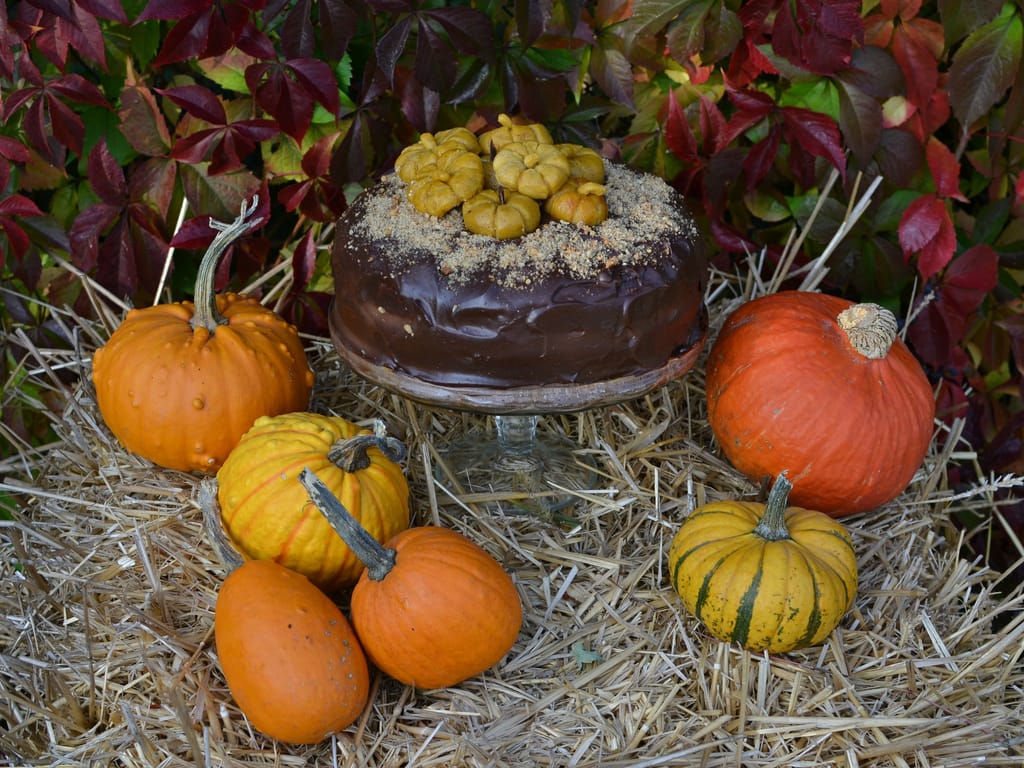 Halloween Pumpkin Cake – Lidl Food Challenge