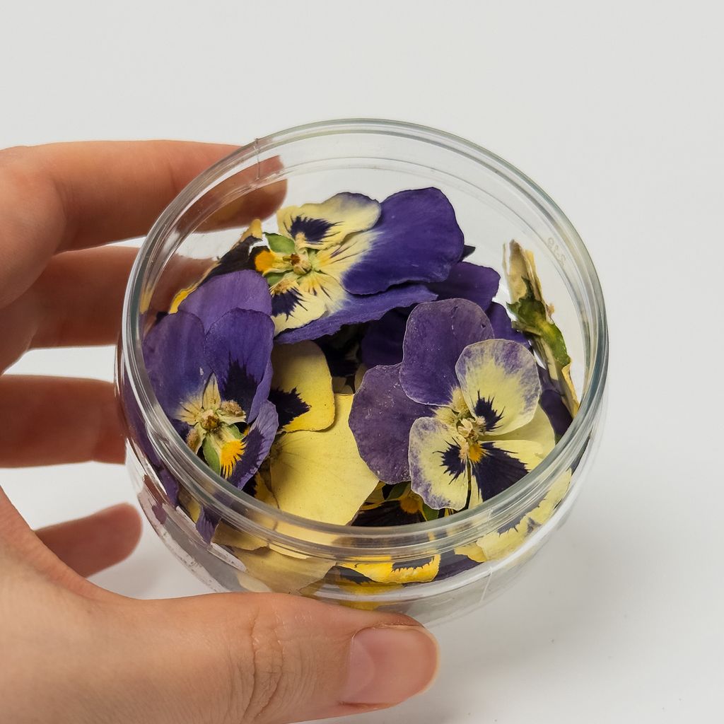 Dried Flowers – Pansies