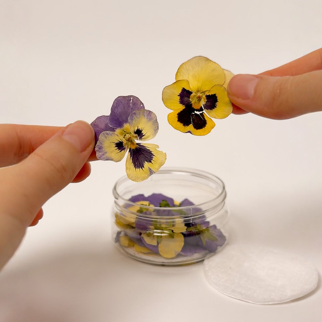 Dried Flowers – Pansies