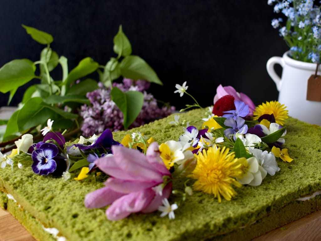 Moss Cake with Pistachios and Banana Cream