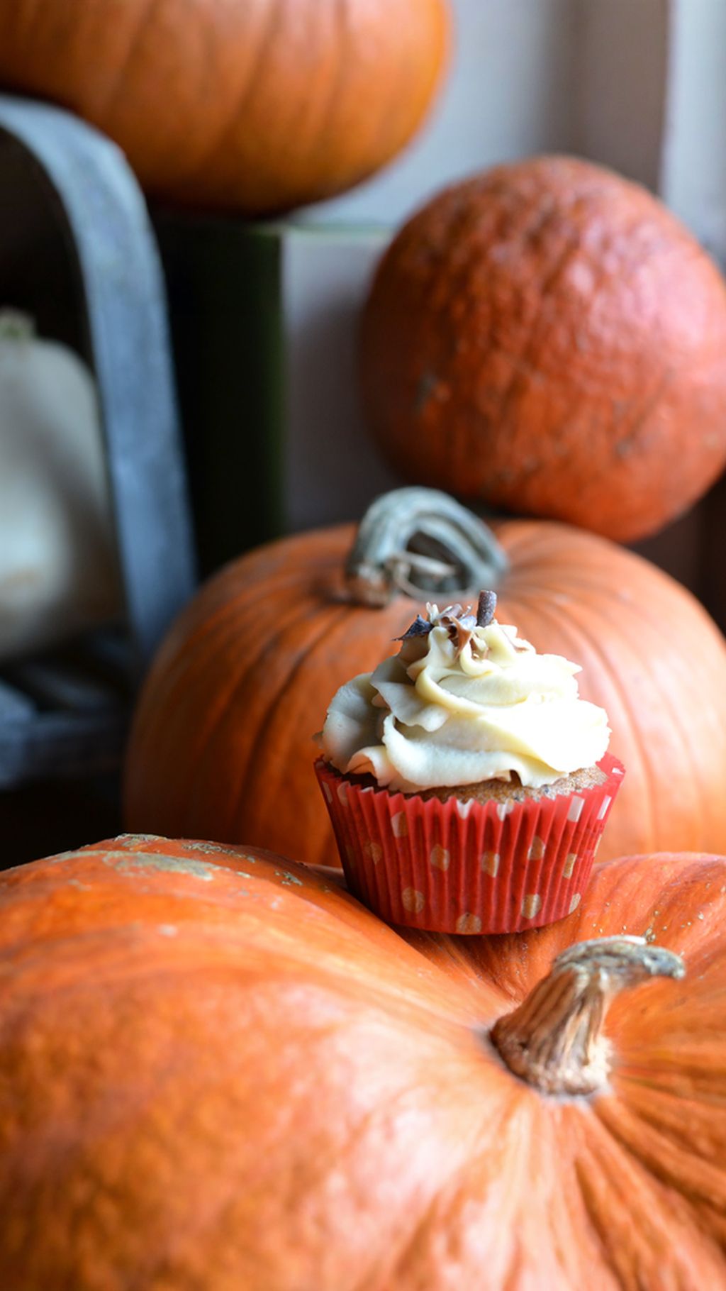 Decorating frosting