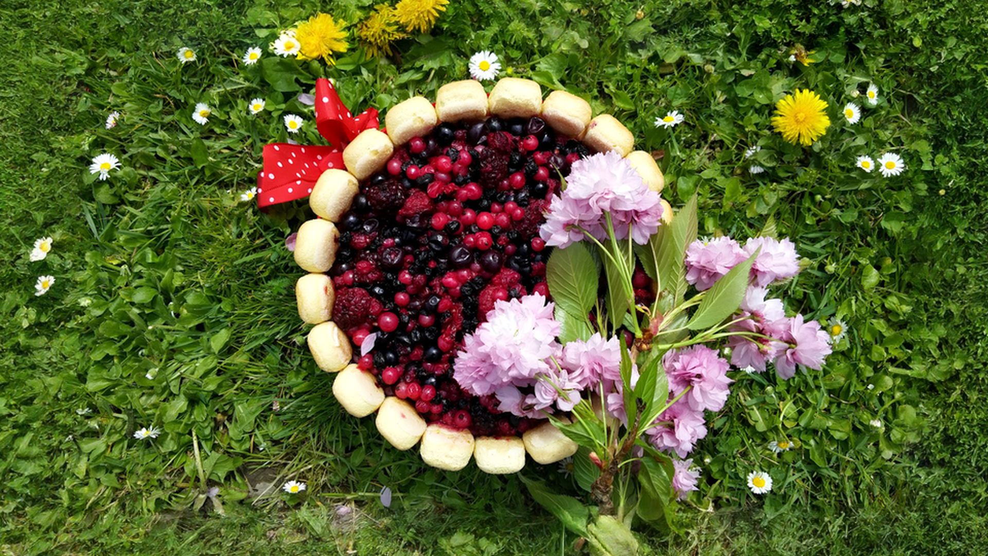 Nepečená tvarohová charlotte s lesním ovocem