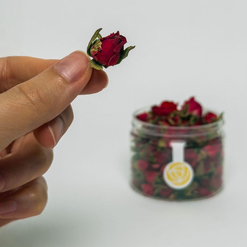 Rose Buds – Cherry Red