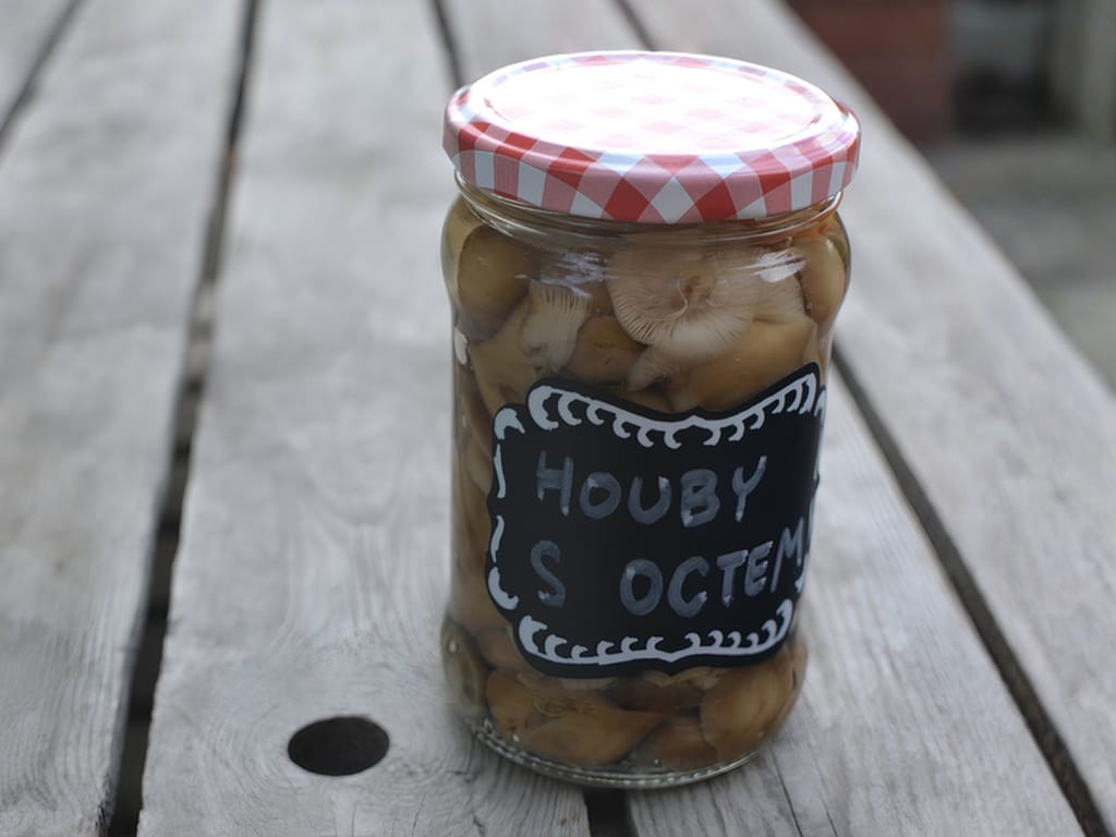 Recepty na nakládané houby v octě