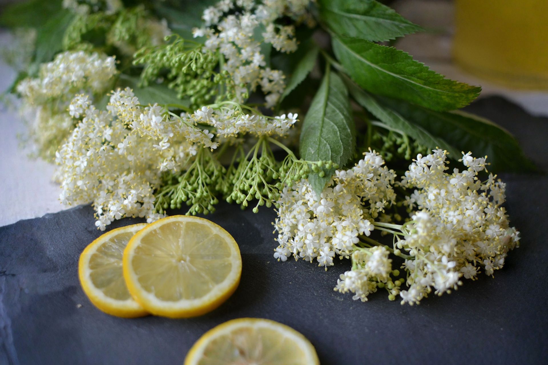 Domácí bezinkový sirup – jednoduchý recept