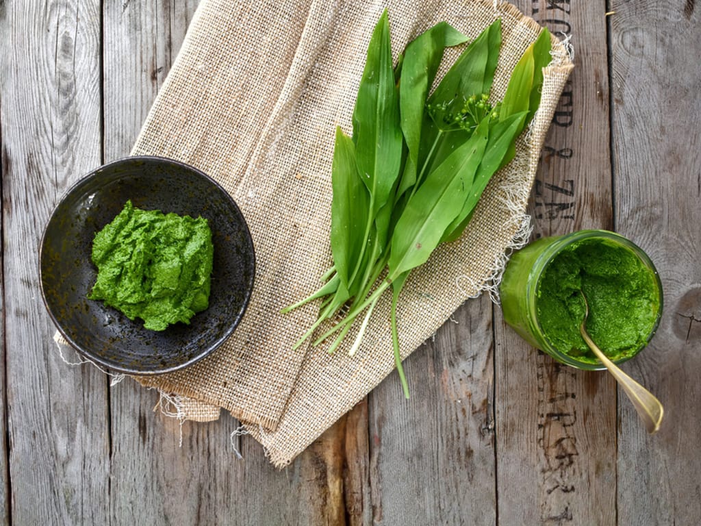 Pesto z medvědího česneku